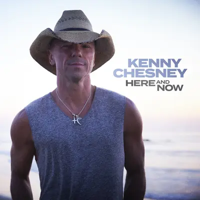 We Do - Kenny Chesney封面