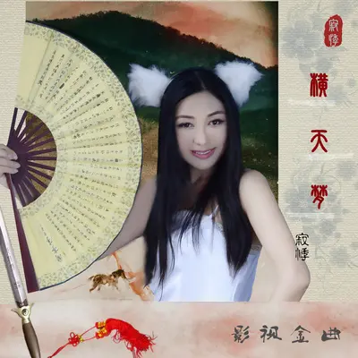 横天梦封面