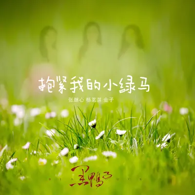 抱紧我的小绿马封面