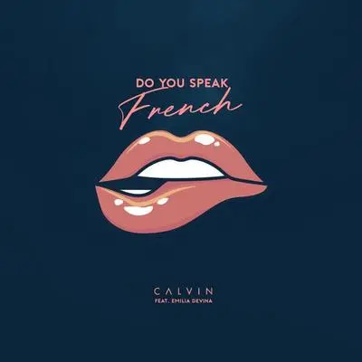Do You Speak French封面