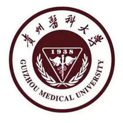 傻子 - 杨挺封面