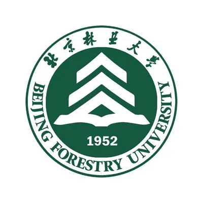 你就不要想起我封面