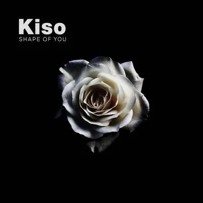 Shape of You - Kayla Diamond / Kiso封面