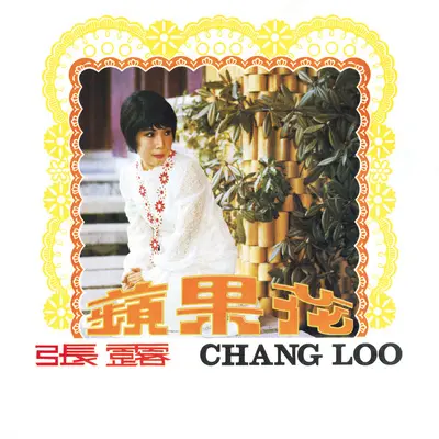 归来吧怀念的人封面