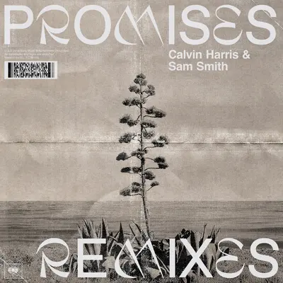 Promises (Sonny Fodera Extended Remix)封面