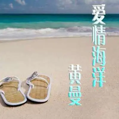堕落的天使封面