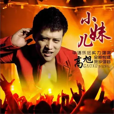 对你太好也是错 - 高旭封面