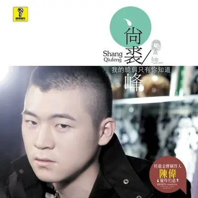 不流泪的爱封面
