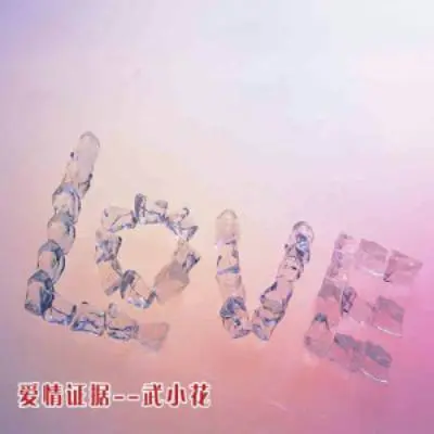 让它随风飘去封面