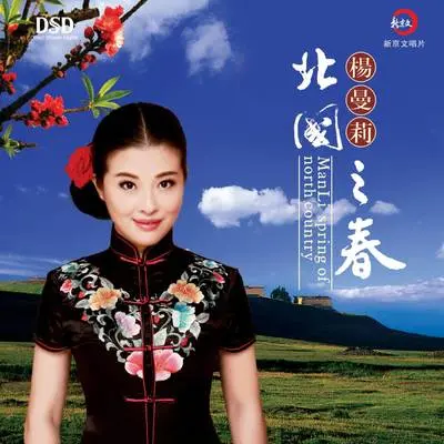 假如我是真的封面