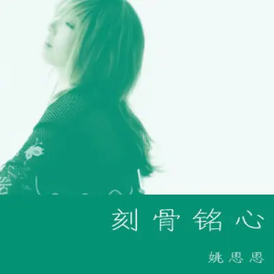 你要走了多可惜封面