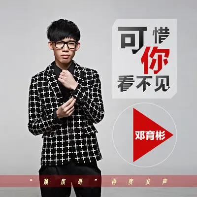 可惜你看不见封面