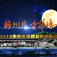 不了情(央视2013中秋晚会)