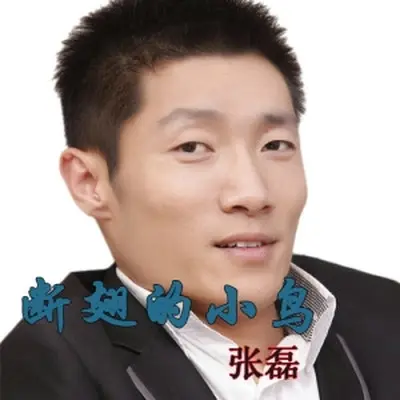 幸福继续 - 张磊 / 雪儿封面
