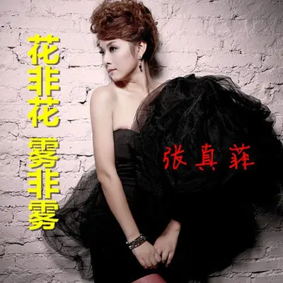 寂寞 - 张真菲封面