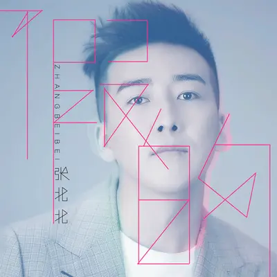 假的 (2017DJ阳少Remix)封面