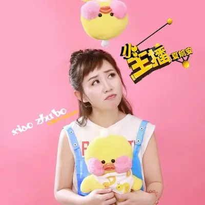 小主播(伴奏) - 夏婉安封面