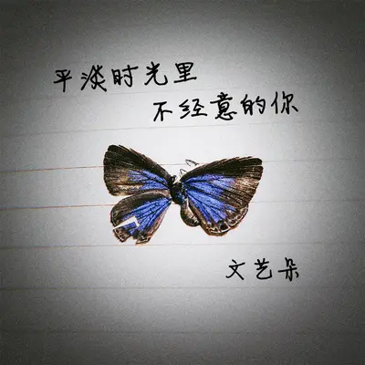 平淡时光里不经意的你封面
