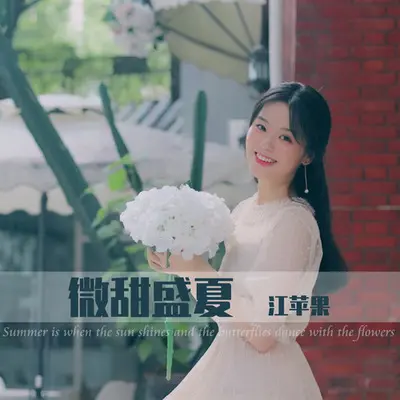 微甜盛夏（完整版）封面