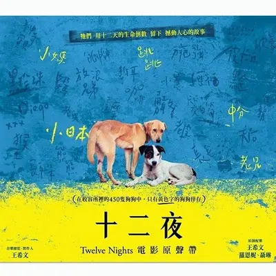 Nobody(纪录片《十二夜》背景音乐) - 王希文封面