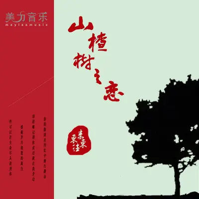 山楂树之恋封面