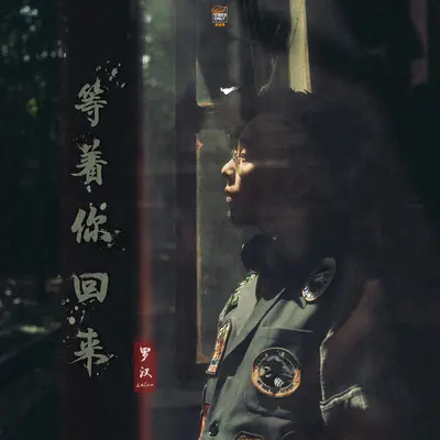 等着你回来封面
