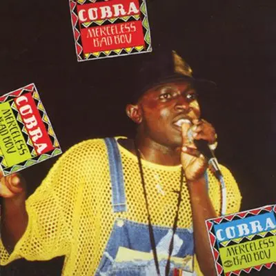 Tek It Up Back - Cobra封面