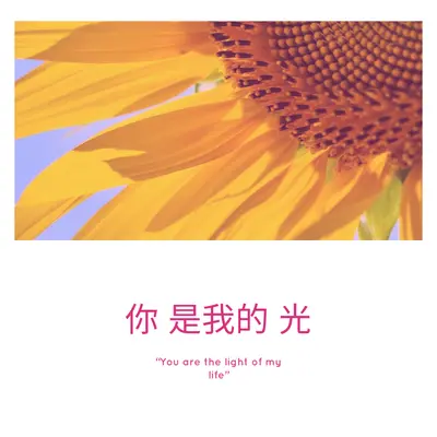 你是我的光 2019封面