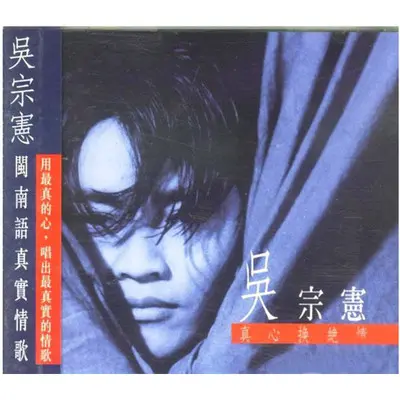 陪伴阮身边封面