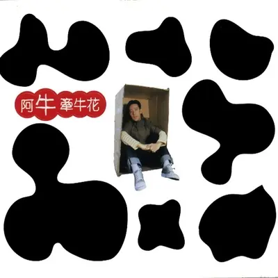 耳边风封面