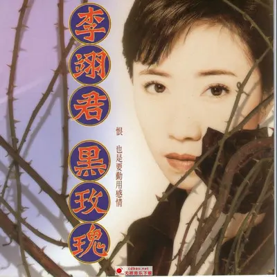 我的感情博这厚 - 李翊君封面