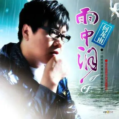 木良心 - 何龙雨封面