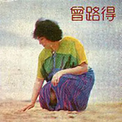 风里的缤纷 - 曾路得封面