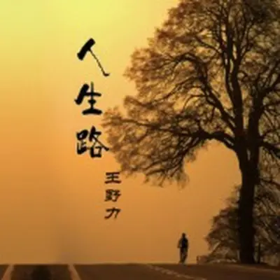 忘记过去 - 王野力封面