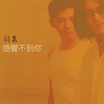 爱浪漫的人 - 羽泉封面