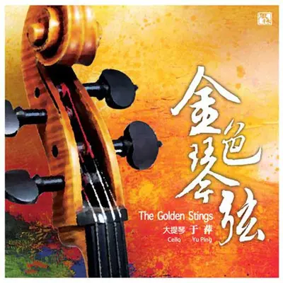 初次尝到寂寞First Time To Taste The Loneliness(二胡)封面