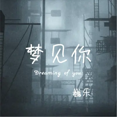 坠落星空 - 巍乐封面