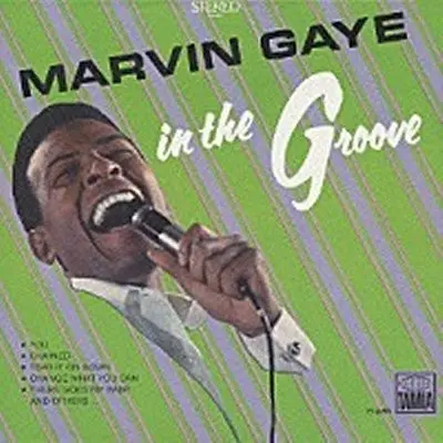I Heard It Through The Grapevi(电影《单身日记：好孕来袭》插曲)封面