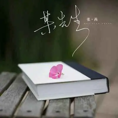 某先生(1.1X)封面