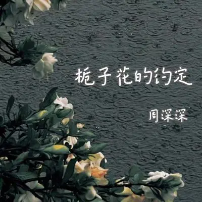 栀子花的约定封面