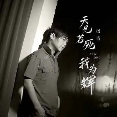天光若死我为辉(伴奏) - 杨青封面