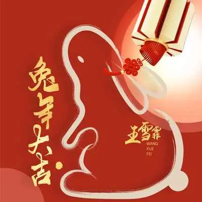 兔年大吉(DJ版)(DJ版)封面
