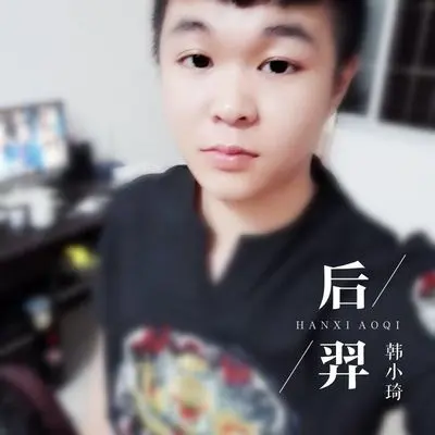 鲁班七号封面