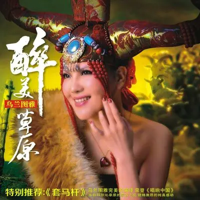 美丽的达古拉封面