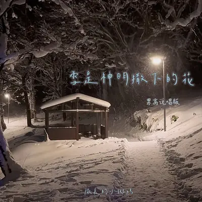 雪是神明撒下的花 (男高说唱版)封面