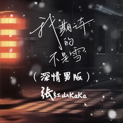 我期待的不是雪(深情男版) - 张红山KaKa封面