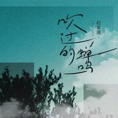 吹过的蝉鸣封面
