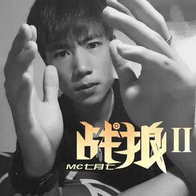 战狼2封面