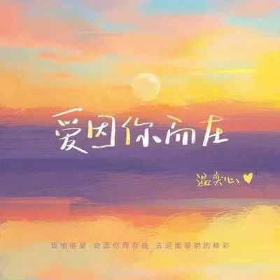 爱因你而在封面