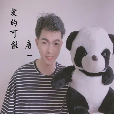 爱的可能封面